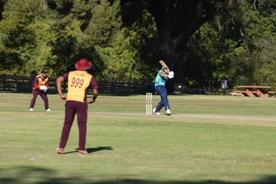 DSC_2331 (Large).JPG